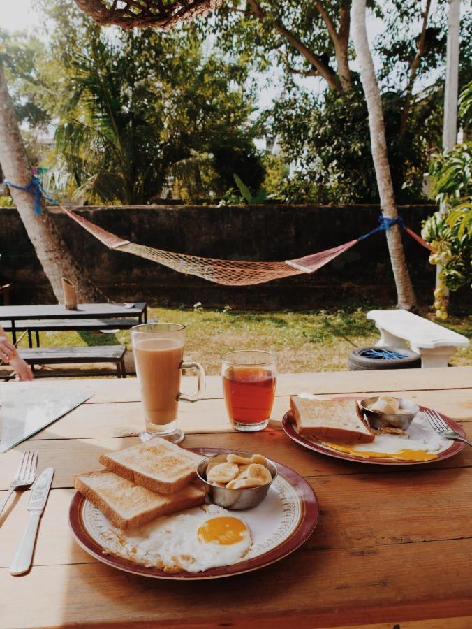 Yoyo Surf Hostel אהנגאמה מראה חיצוני תמונה